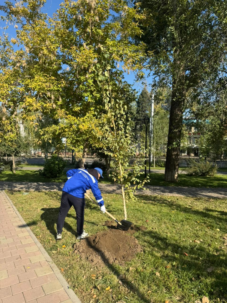 WhatsApp Image 2025-10-06 at 08.57.44